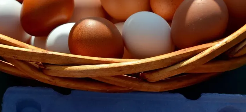 Eier im Pappkarton Eier sind ein wertvoller Eiweißlieferant.