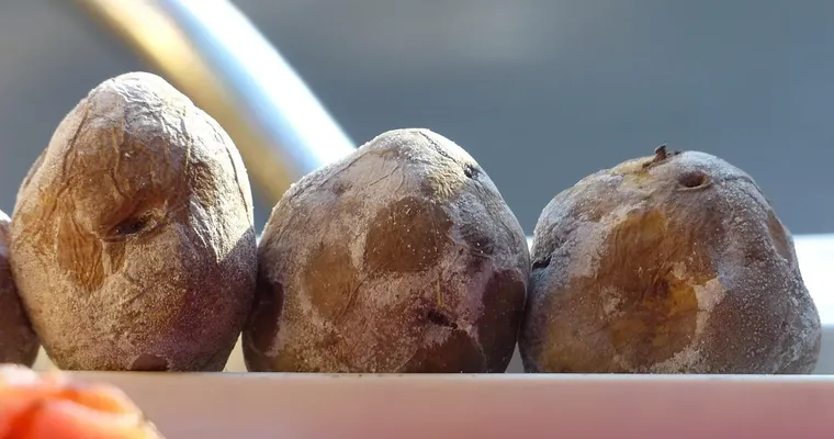 Ofenkartoffeln mit Tzaziki