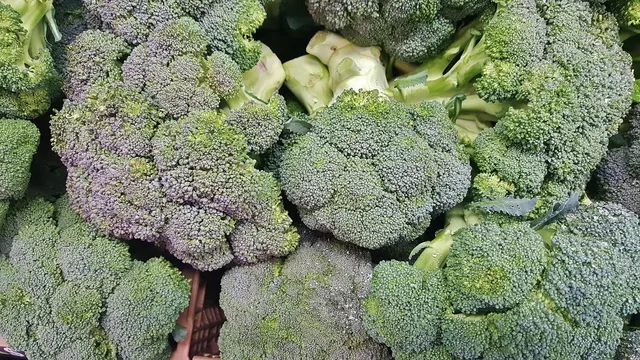 Blog gesunde Ernährung - Patricia Das bin ich, Patricia, grinsend nach einer Yoga Stunde. Gesunde Ernährung ist meine Leidenschaft.